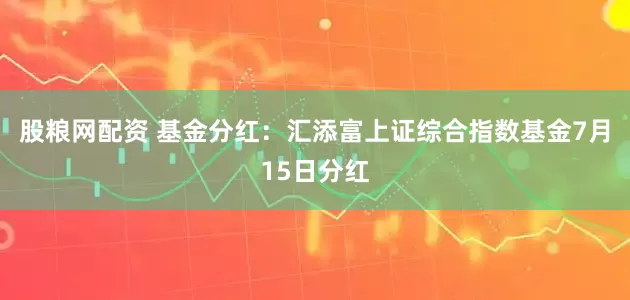 股粮网配资 基金分红：汇添富上证综合指数基金7月15日分红