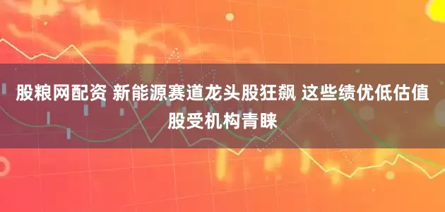 股粮网配资 新能源赛道龙头股狂飙 这些绩优低估值股受机构青睐